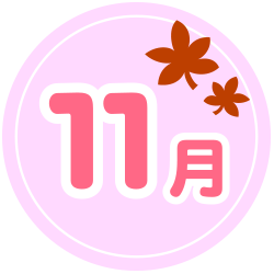 11月